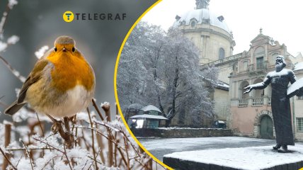 Погода у Львові