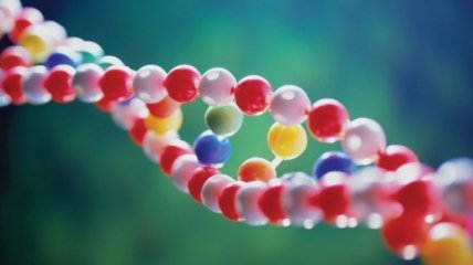 Нити ДНК содержат второй слой информации