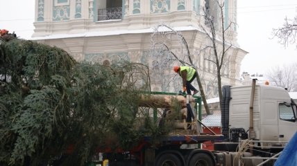 На Софийской площади установили уникальную главную елку страны (ФОТО)