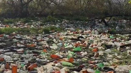 Больше, чем просто свинство: во что люди превратили реку под Харьковом (видео)