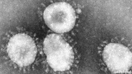 Украинцы не имеют иммунитета от нового гриппа "Висконсин" 