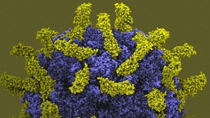 Ученые создали ловушку для вирусов