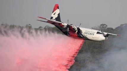 Дэна Уайт призвал помочь Австралии в борьбе с лесными пожарами