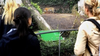 В Харькове нашли нелегальный зоопарк