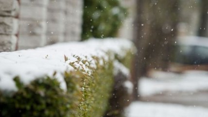 Прогноз погоды в Украине на 11 января: ожидается мокрый снег