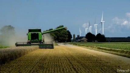 Эксперты: Урожай пшеницы в Европе будет одним из крупнейших в истории