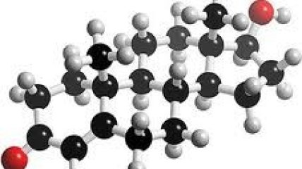 Мужской гормон опасен для женщин