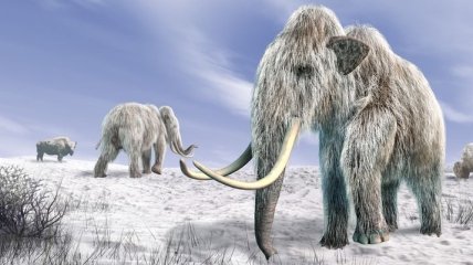 Ученые: Люди заселили Арктику 45 тысяч лет назад  