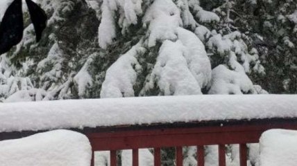 В Канаде прошел аномальный снегопад: 30 см снега за день