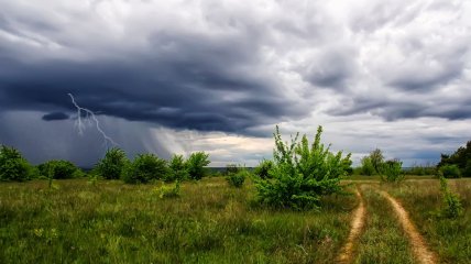 Прогноз погоды: дожди с грозами.