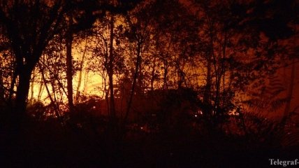 Лесной пожар начался в предместье Ванкувера