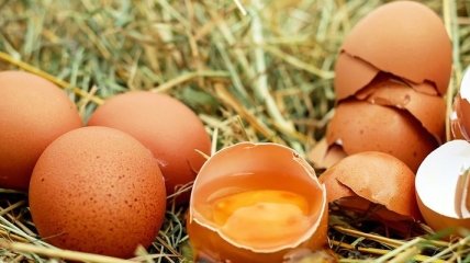 Ученые сообщили, что употребление более трех яиц в неделю опасно