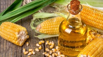 Кукурузное масло поможет существенно снизить уровень холестерина