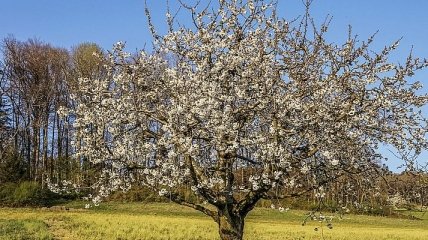 Днем существенно потеплеет, но ночи – холодные: погода на ближайшие дни