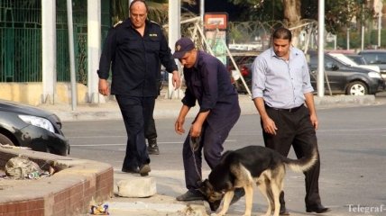 33 человека стали жертвами терракта в Египте