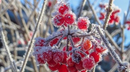 Мороз и снег: в Украину пришло похолодание 