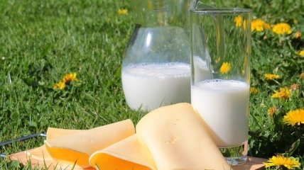 Топ-3 факта о молочной продукции, которые стоит знать