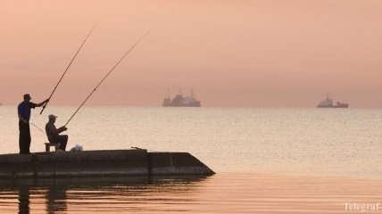 Из-за конфликта в Азовском море пострадает рыбная отрасль