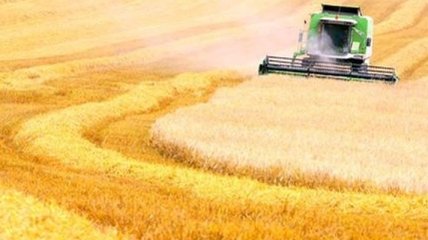 Минагрополитики сообщает о рекордном росте экспорта зерна из Украины