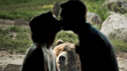 Курьез на свадьбе: медведь был против брака возлюбленных (Фото) 