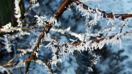 Парень вылил кастрюлю кипятка с балкона в -40°С (Видео)