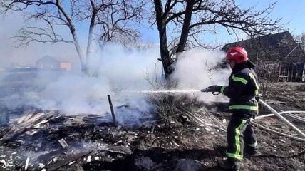 В Житомирской области при поджоге сухой травы погибла женщина