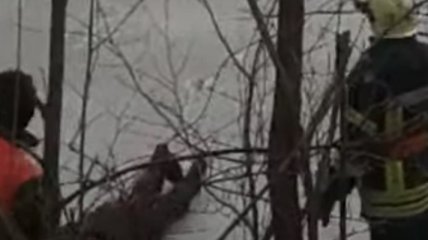 Пенсионер бросился спасать провалившегося под лед мужчину и сам оказался в воде: детали и видео происшествия