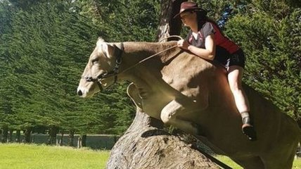 В Новой Зеландии девочка превратила корову в лошадь