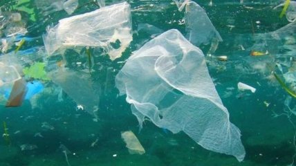 Ученые обнаружили пластиковые отходы на дне Марианской впадины