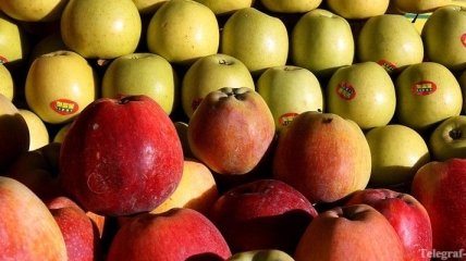Стоимость яблок превысила стоимость экзотических фруктов