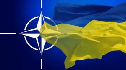 В НАТО отреагировали блокирование российских сайтов в Украине