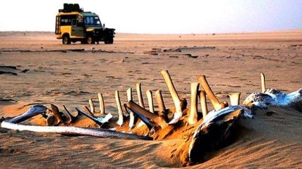 Это место мореплаватели называют не иначе как "Врата ада" (Фото)