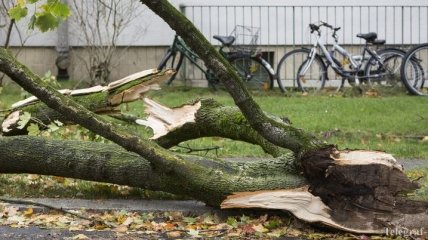 В Германии в результате шторма "Ксавьер" погибли не менее 7 человек