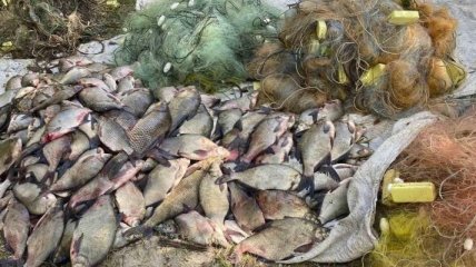 На Кировоградщине у браконьеров изъяли рыбы более чем 200 тысяч гривен
