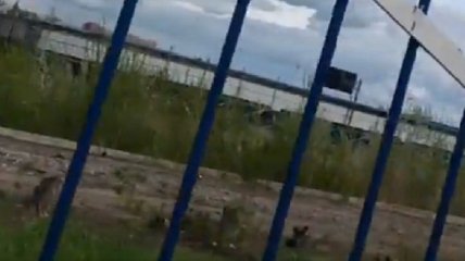 Здесь тренировались гранды футбола: в сети показали видео стадиона в Донецке