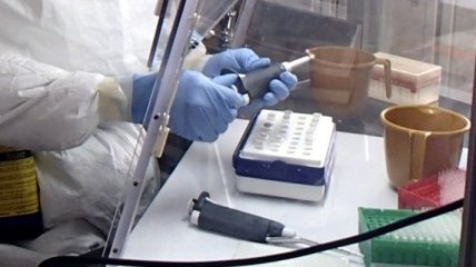 Ученые: в Германии создан первый тест, диагностирующий вирус Зика