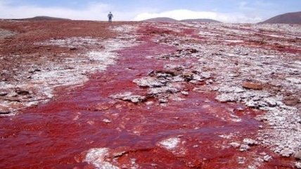 Красная лагуна в Чили