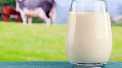 Врачи утверждают, что молоко улучшает память