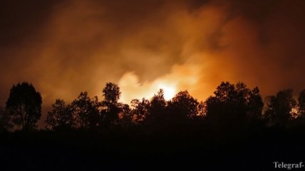 Эксперт: Леса в Индонезии будут гореть до января