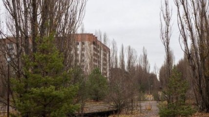  В Чернобыльской зоне задержали рекордное количество сталкеров 