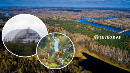 Чорнобильський заповідник