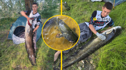 Парень еле вытащил рыбу из воды
