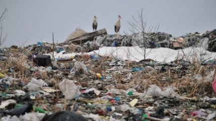 В Черкасской области перевернулась фура с львовским мусором