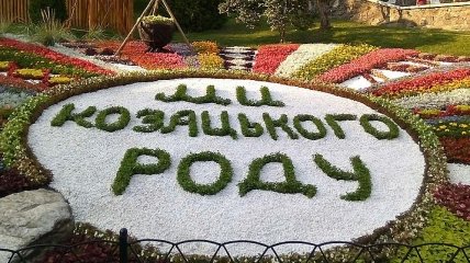 Выставка цветов в Киеве: огромная тарелка борща и гигантские вареники (Фото)