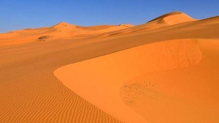 Экологи бьют тревогу о быстром росте территории Сахары 