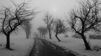 Погода в Украине на 10 декабря: потепление, местами мокрый снег