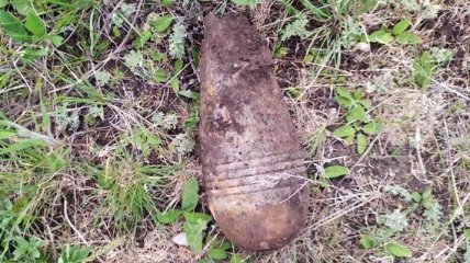 Нашли посреди лесополосы и на огороде: в Днепропетровской области пиротехники ликвидировали боеприпасы