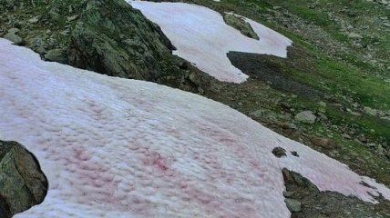 Тяжелые последствия для климата: в Италии порозовели альпийские ледники