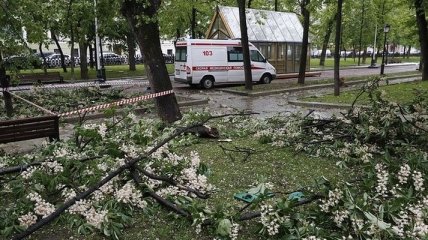 Ураган в Москве: число пострадавших превысило 130 человек