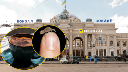 Кофейня с рептилиями в Одессе